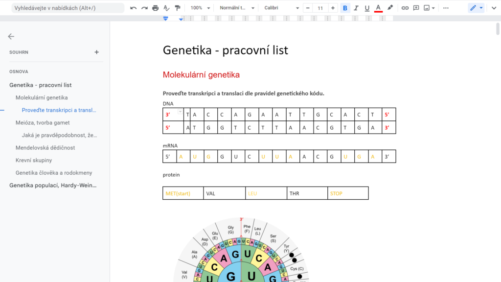 Pracovní list z genetiky s řešením